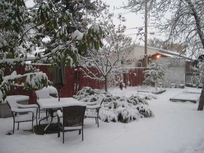 snowy back yard
