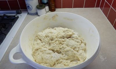 a shaggy lump of barely-dough