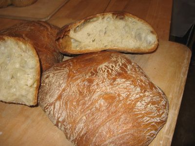 ciabatta loaves