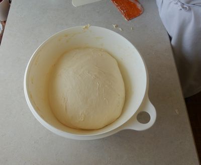 dough ball folded and back in bowl