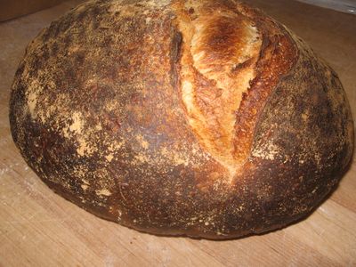 extra large, dark, fully baked boule