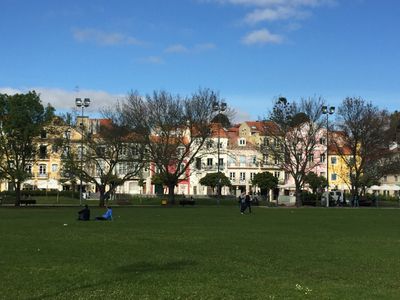 park with houses in distance
