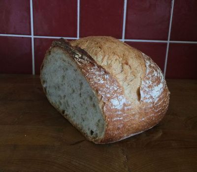 Saskatchewan Sourdough with a slice or two missing.
