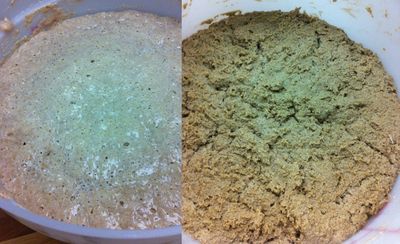 examples of two sourdough starters with different hydrations