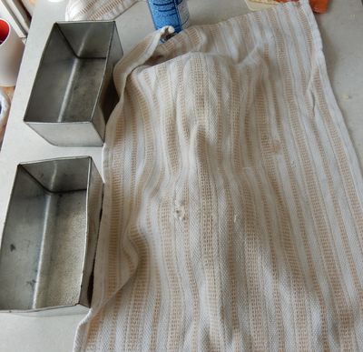 dough resting under a towel