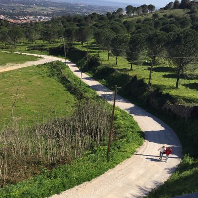 Our path below