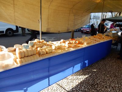 a long market table with hundreds of cheese wheels.