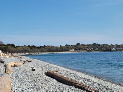 view from Ross Bay beach, stones, large driftwood with houses in the far background, sunny and lovely
