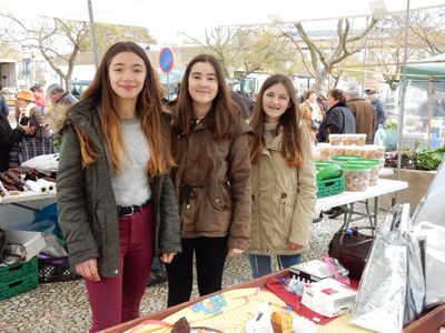 three young girls posing in front of their cakes they are selling as a fundraiser.