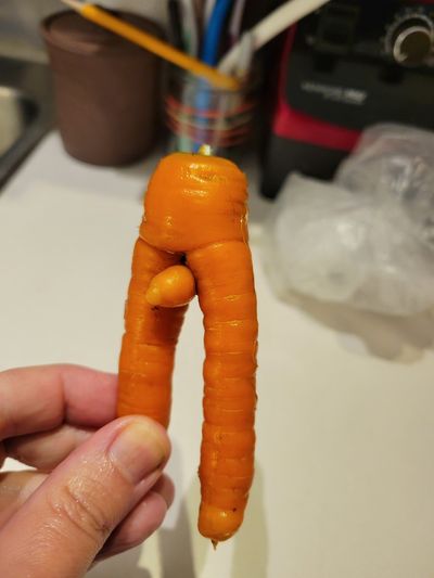A carrot from my garden that looks like an anatomically correct man