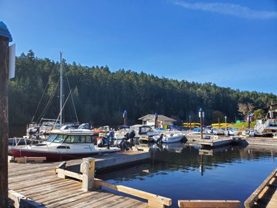 boats in the harbour and trees in the background