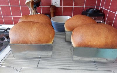loaves just out of the oven