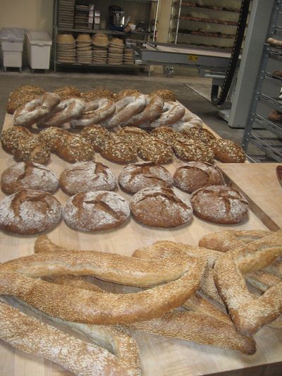 a selection of bread from Day 3