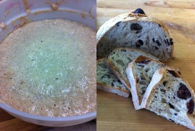 mature levain and a baked Olive loaf