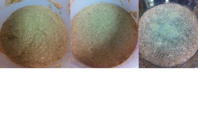 three stages of starter