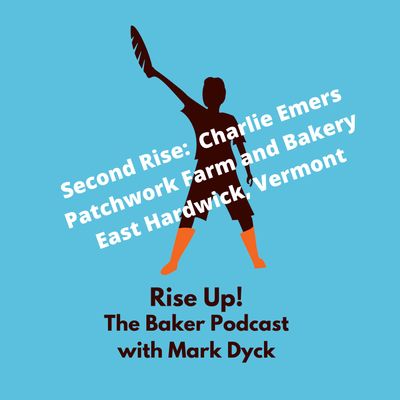 podcast episode poster